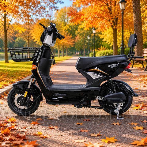 Велосипед з електромотором SPARK FREE 14", 60V 1000W 25Ah, швидкість до 45 км/год, чорний 249183F фото