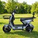 Велосипед з електромотором SPARK FREE 14", 60V 1000W 25Ah, швидкість до 45 км/год, сріблястий 249186F фото 1