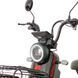 Велосипед з електромотором SPARK GLIDE 14", 60V 500W 20Ah, швидкість до 45 км/год, чорний 227062 фото 15