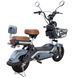 Велосипед з електромотором SPARK GLIDE 14", 60V 500W 20Ah, швидкість до 45 км/год, зелена шавлія 227064 фото 9