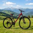 Гірський велосипед SPARK NOVA 29", сталева рама 17", 21 швидкість, вишневий з чорним 239253 фото