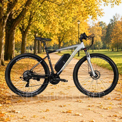 Електровелосипед Formula eF-1 DD CS 29" 48V/500W/12.5Ah, алюмінієва рама 21", до 38 км/год, сріблясто-чорний ELB-FR-29-254 фото