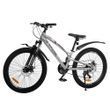 Гірський велосипед SPARK SURF 24", сталева рама 11", 21 швидкість, сірий 239213 фото